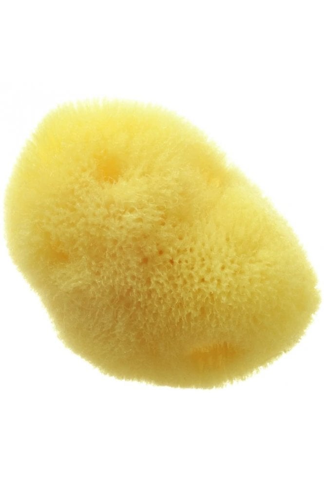 Hydrea london  - Premium Fine Silk Sea Sponge - 2-2.5