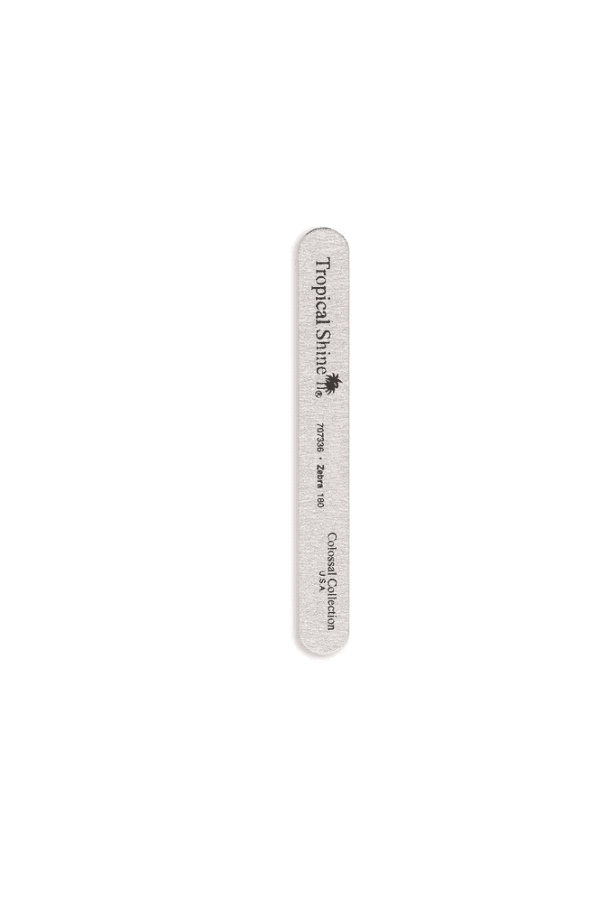 Tropical Shine  Colossal Zebra File